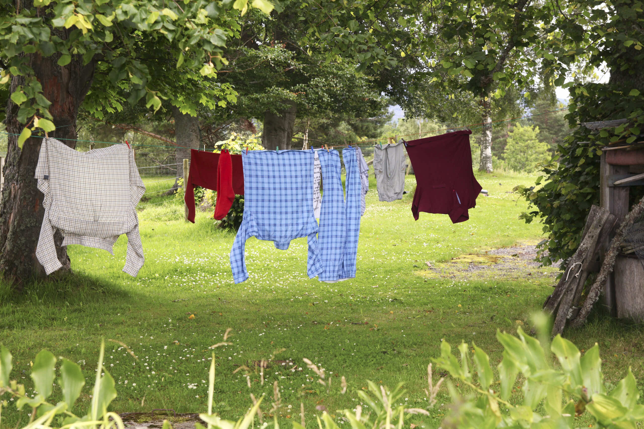 kläder hänger på tvättlina i grönskande trädgård.