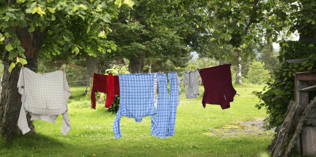 Kläder som hänger på tork på en tvättlina i en grönskande trädgård.