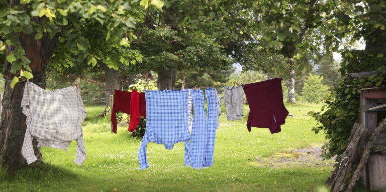 Kläder som hänger på tork på en tvättlina i en grönskande trädgård.